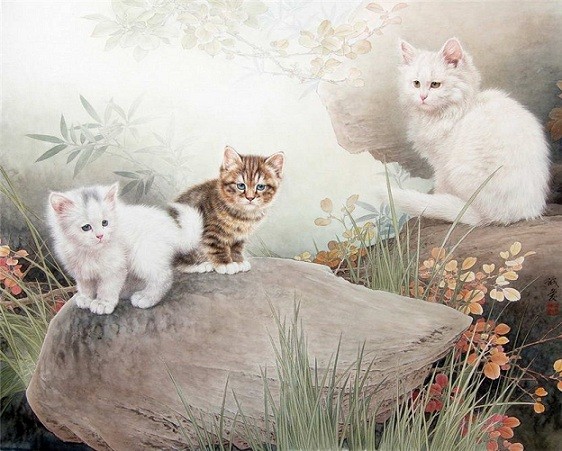 chats de xing chengai